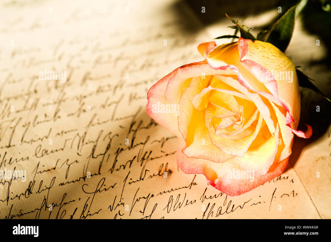 Red yellow rose over a hand written letter Stock Photo - Alamy