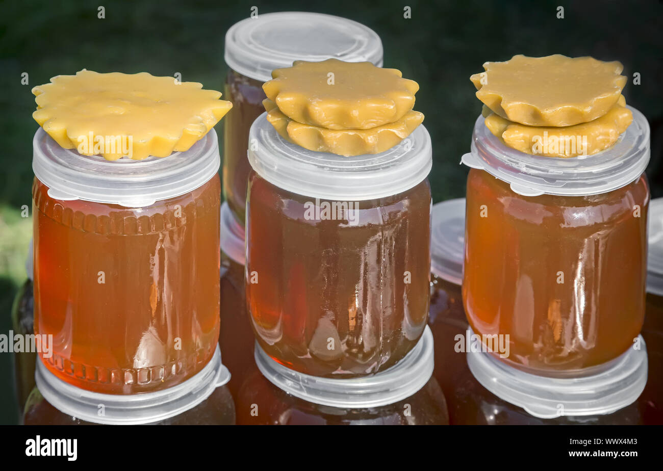 A variety of varieties of honey in jars offered for sale at the fair