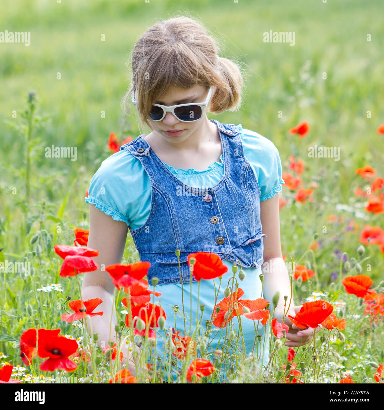 Cute young girl in poppy field Stock Photo - Alamy
