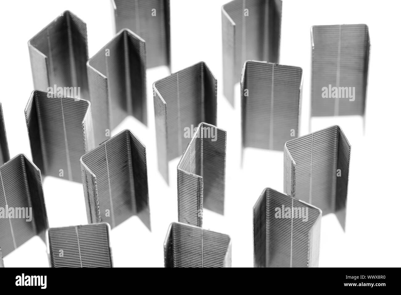 Black and white image of staples on white background Stock Photo
