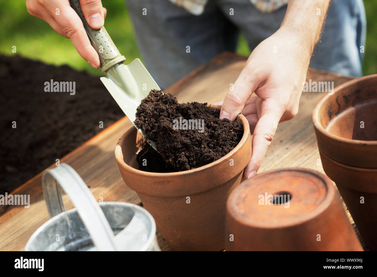 The soil in the flower pot. The soil in the flower pot. The soil in the flower pot. The soil in the flower pot. The soil in the flower pot.