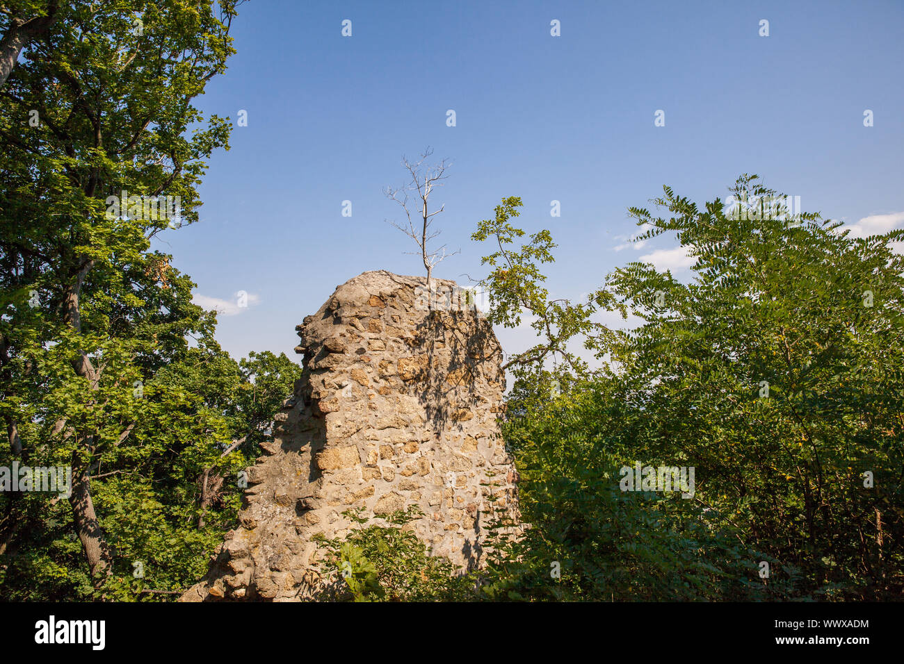 Castle ruin Lauenburg near Stecklenberg Stock Photo