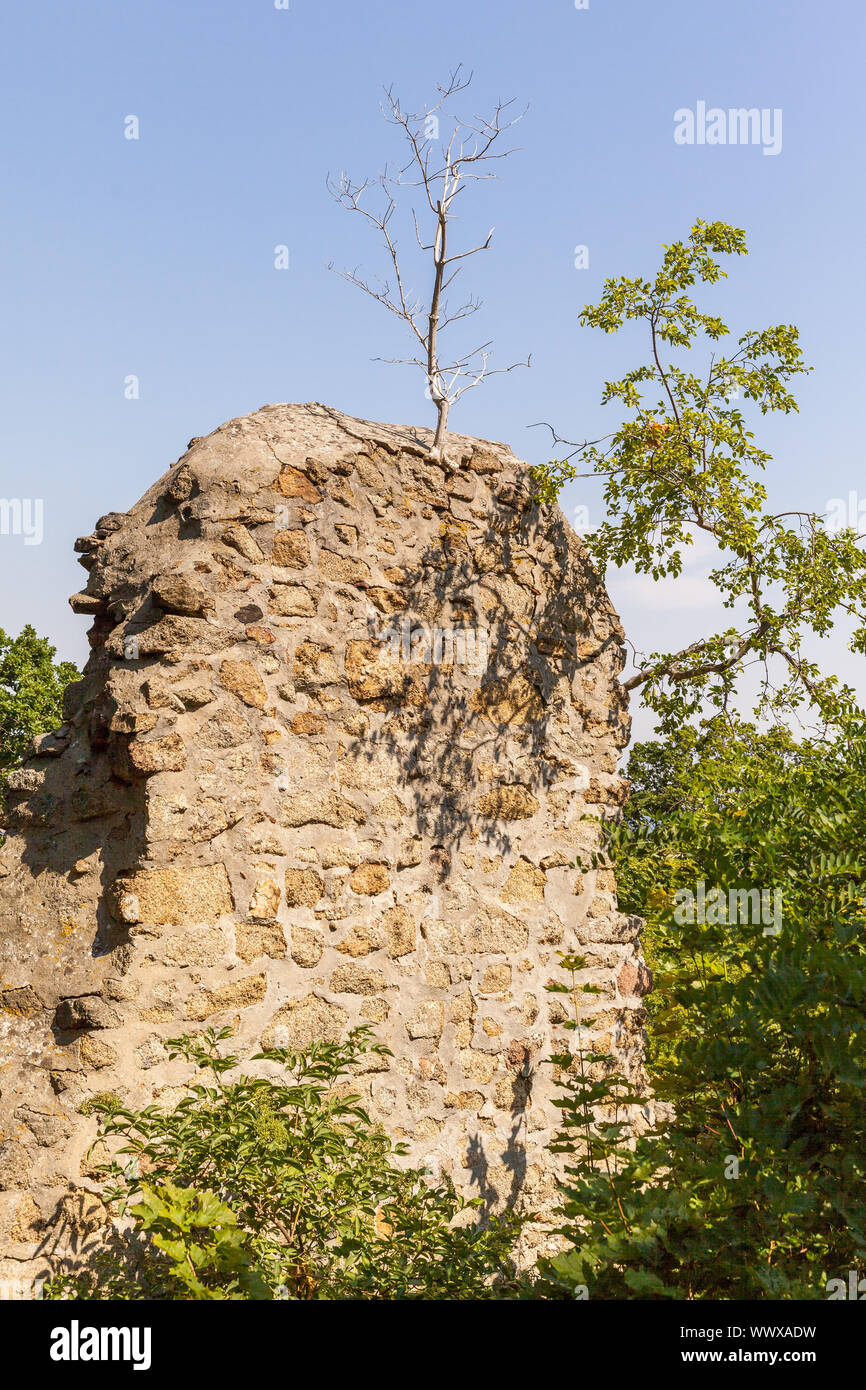 Castle ruin Lauenburg near Stecklenberg Stock Photo
