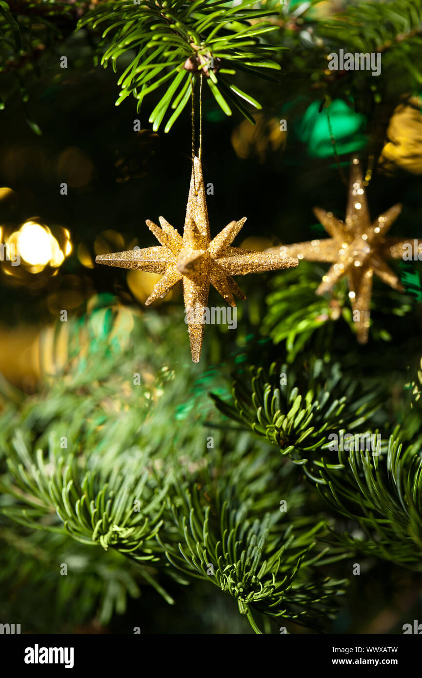 Decorative Gold Star ornament in a Christmas tree infront of a glitter ...