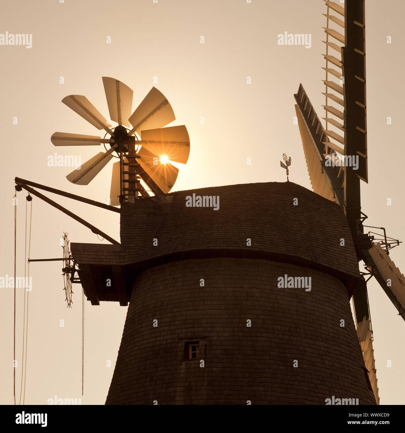 wind mill Exter in the evening sun, Vlotho, North Rhine-westphalia, Germany, Europe Stock Photo