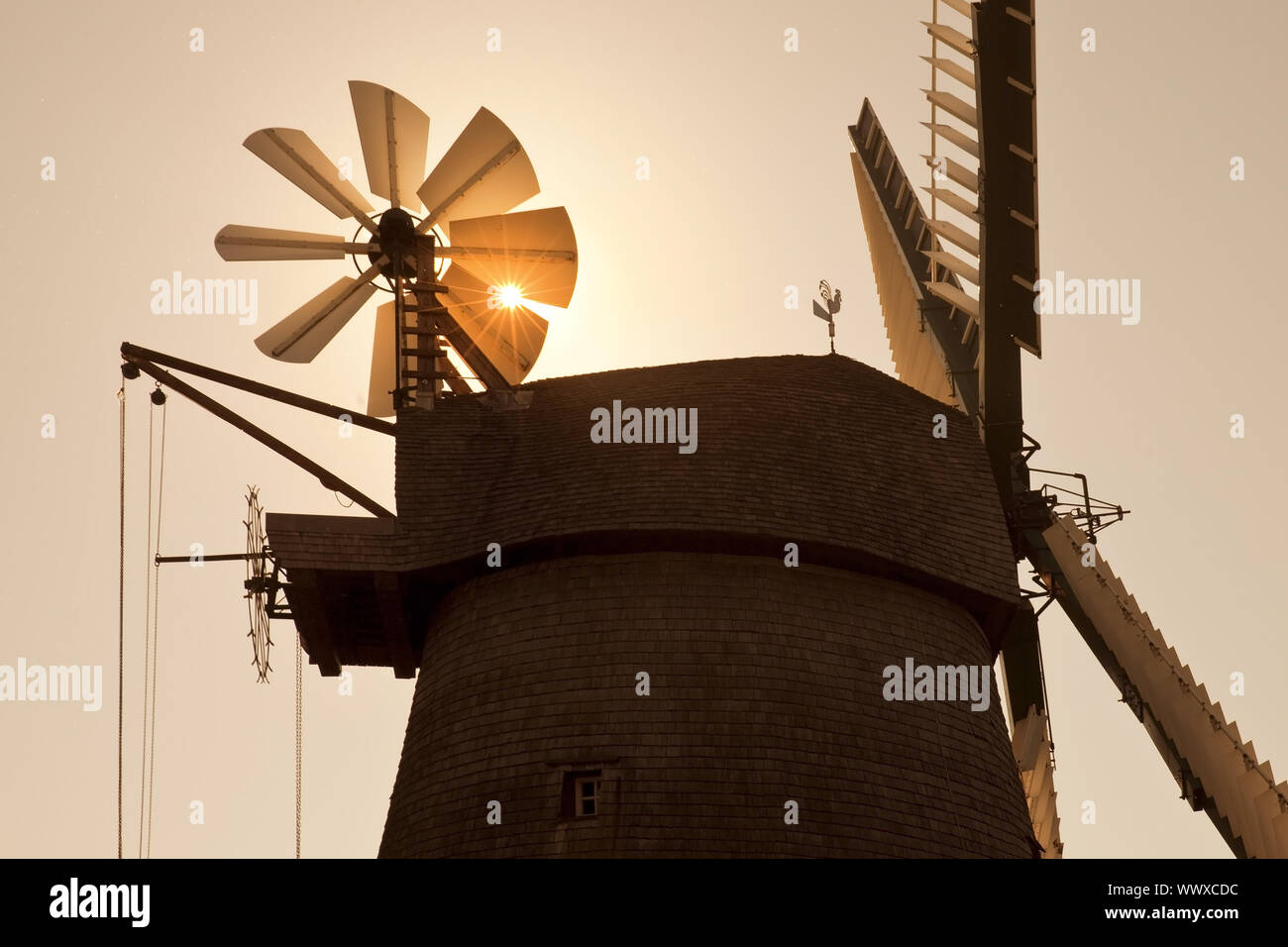 wind mill Exter in the evening sun, Vlotho, North Rhine-westphalia, Germany, Europe Stock Photo