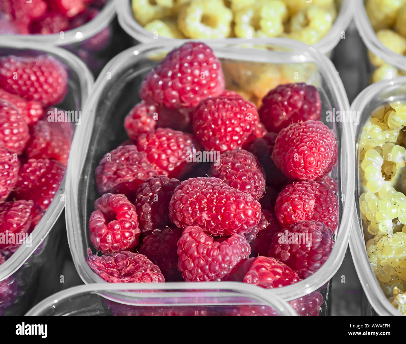 Raspberries in containers for sale Stock Photo Alamy