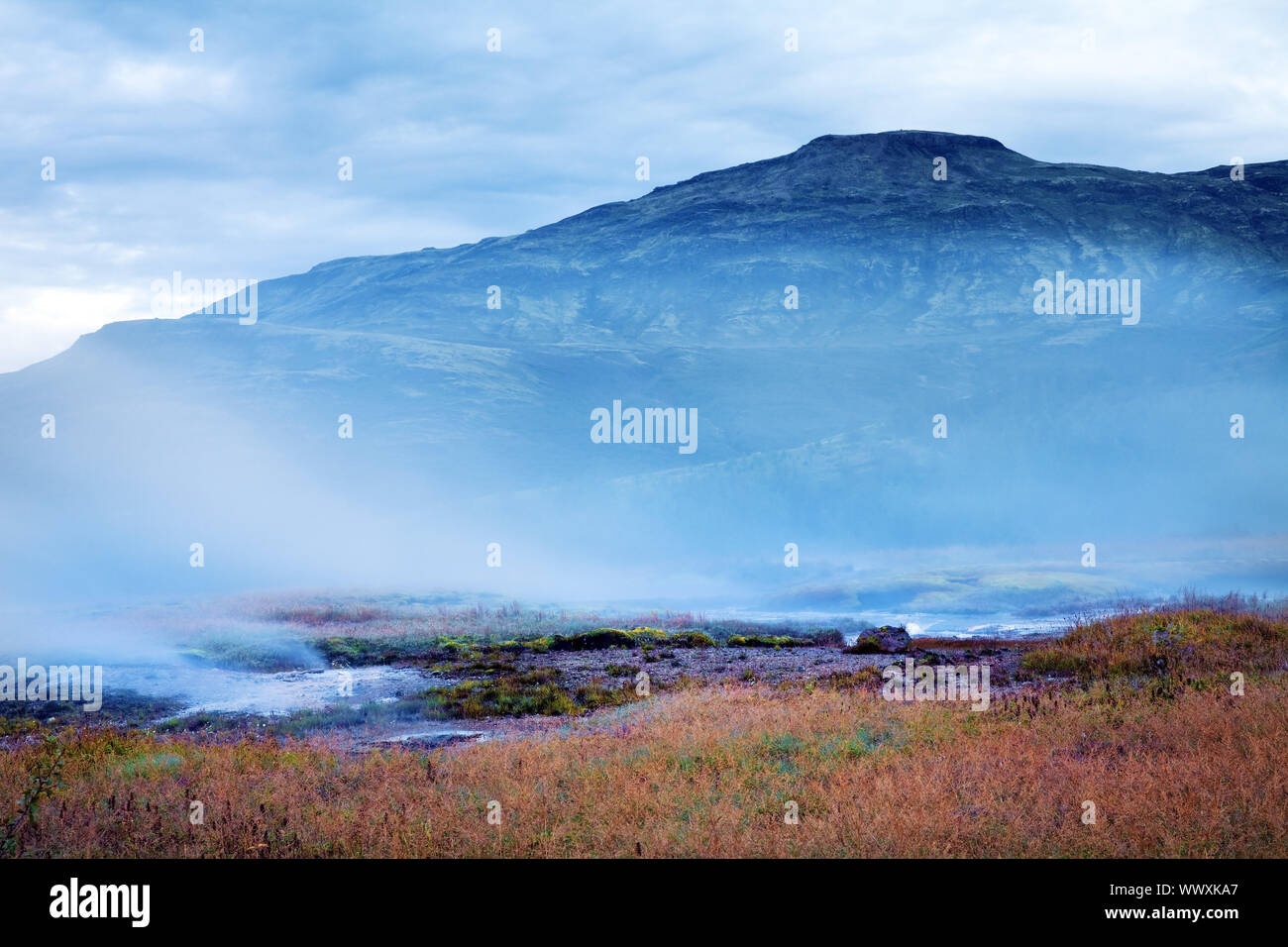 vapor cloud in the geothermal area, Haukadalur, South Iceland , Iceland, Europe Stock Photo