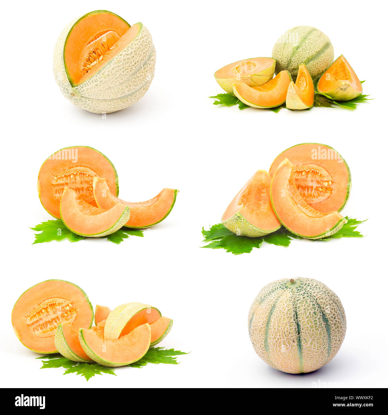 collection of fresh melon fruits Stock Photo Alamy