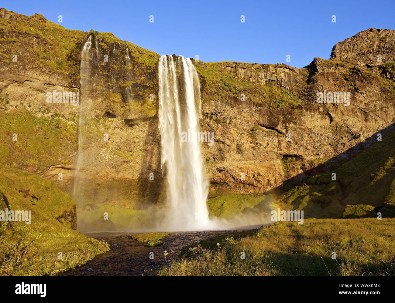 waterfall Seljalandsfoss, river Seljalandsa, Seljaland, South Iceland,  Iceland, Europe Stock Photo - Alamy