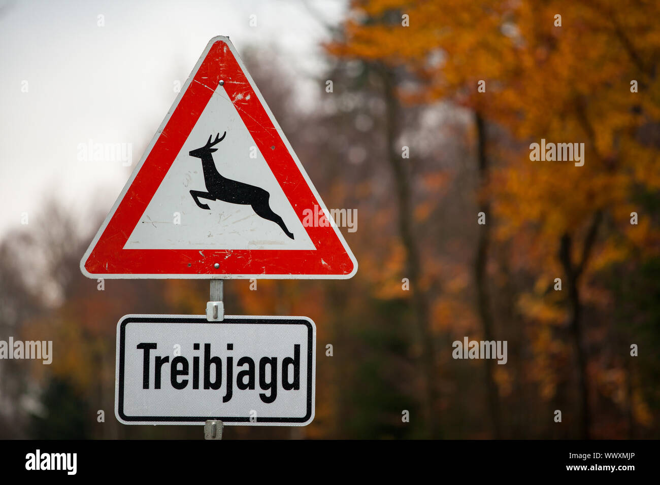 Traffic sign Treibjagd with country road Stock Photo