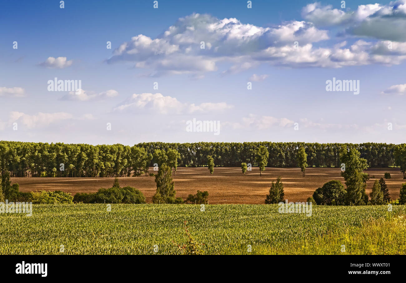 Summer landscape on a clear Sunny day. Stock Photo