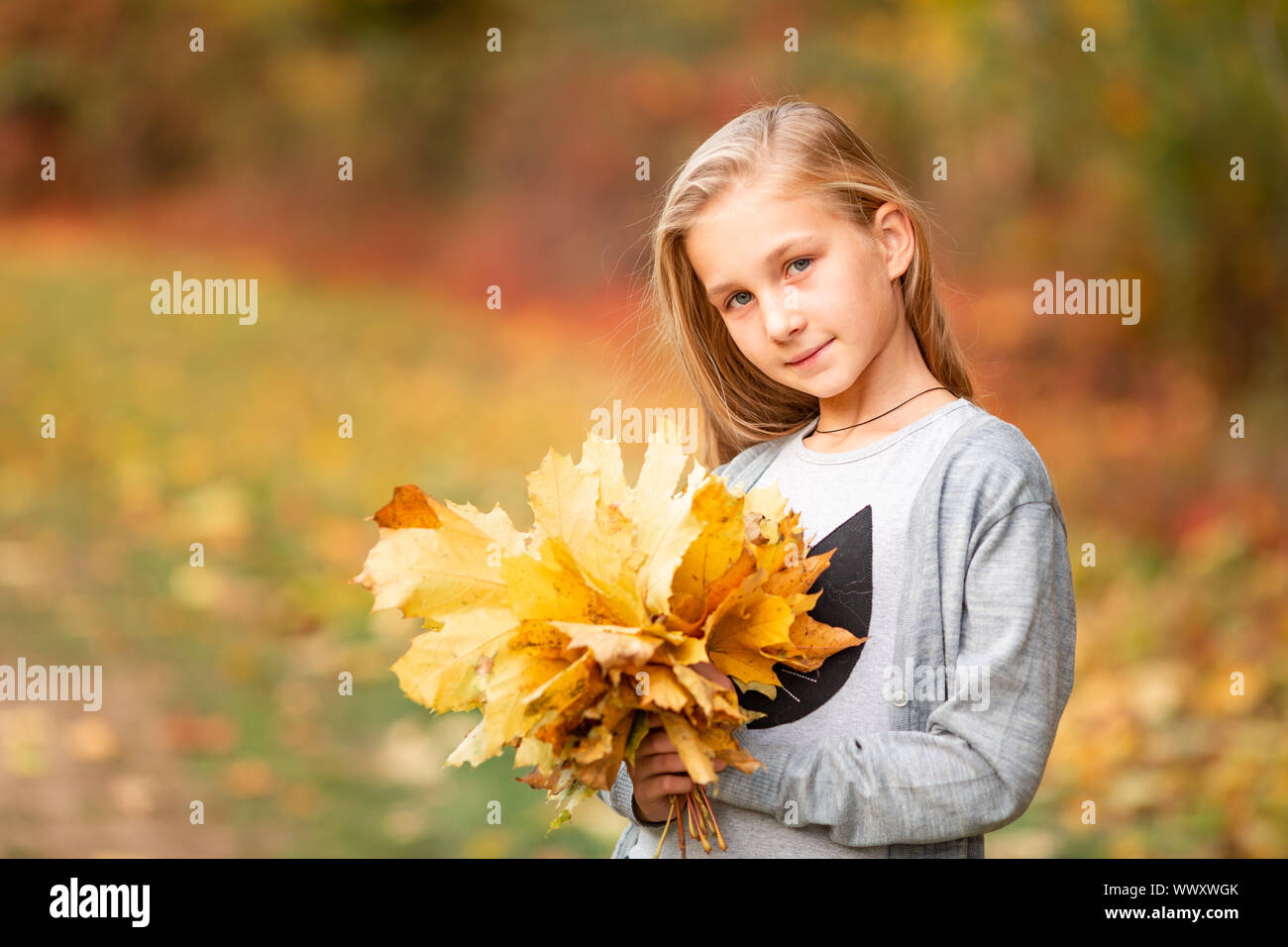 Beautiful little girl with autumn leaves in the park outdoor Stock ...