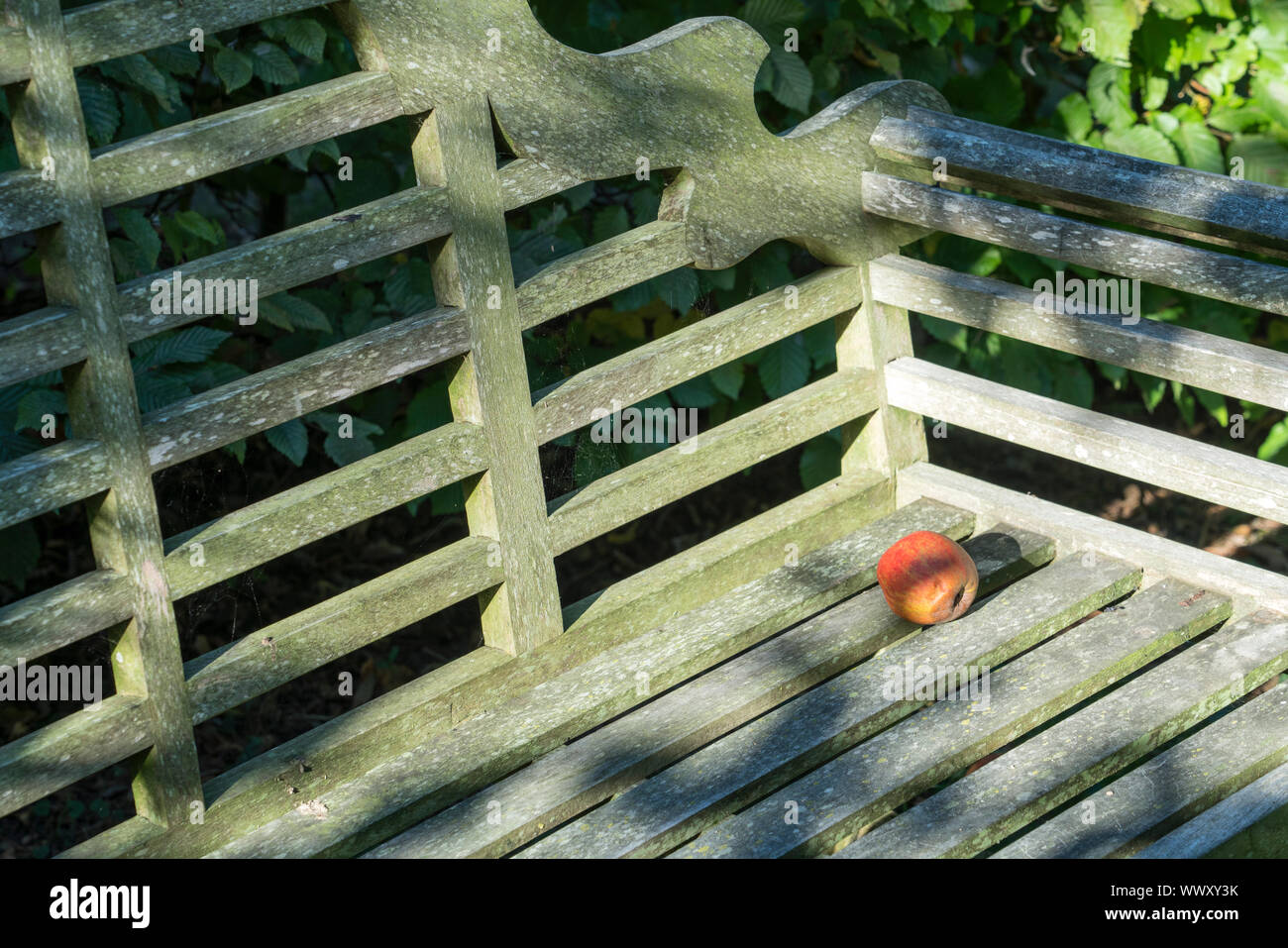 Apple on a bench Stock Photo