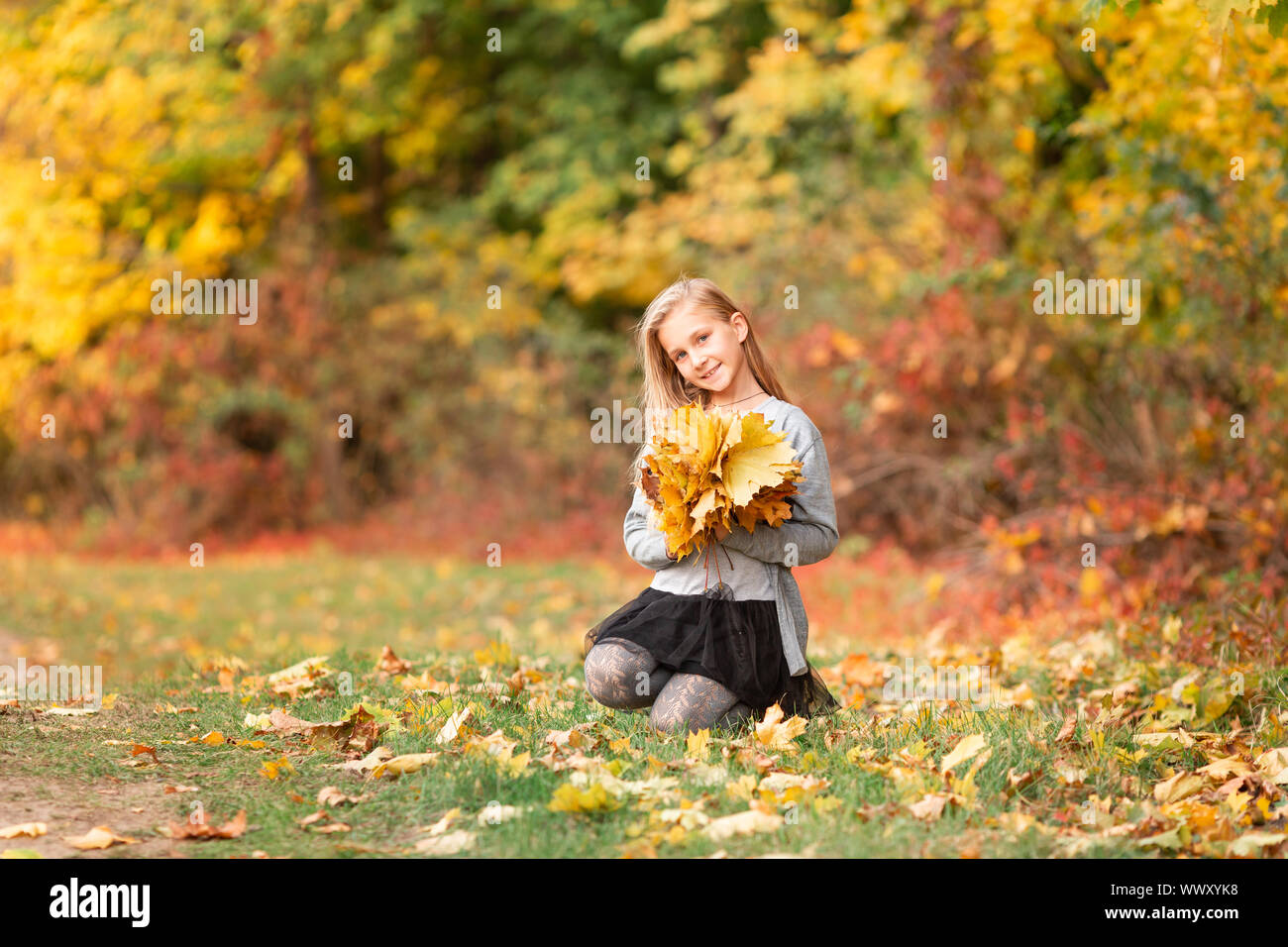 Beautiful little girl gathering autumn leaves in the park outdoor Stock ...
