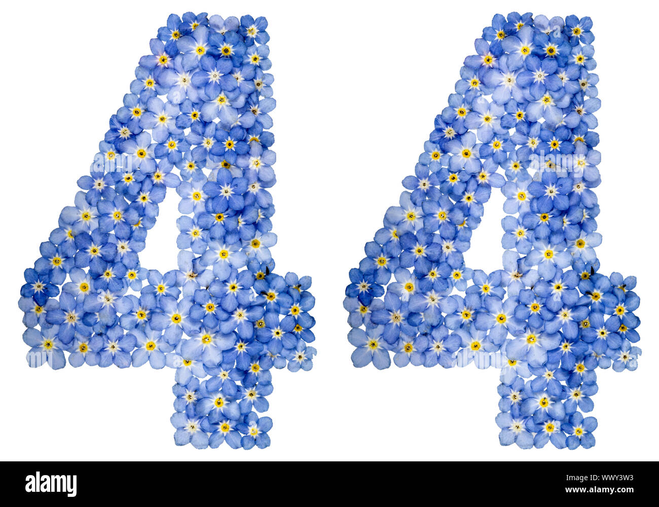 Arabic numeral 44, forty four, from blue forget-me-not flowers Stock Photo