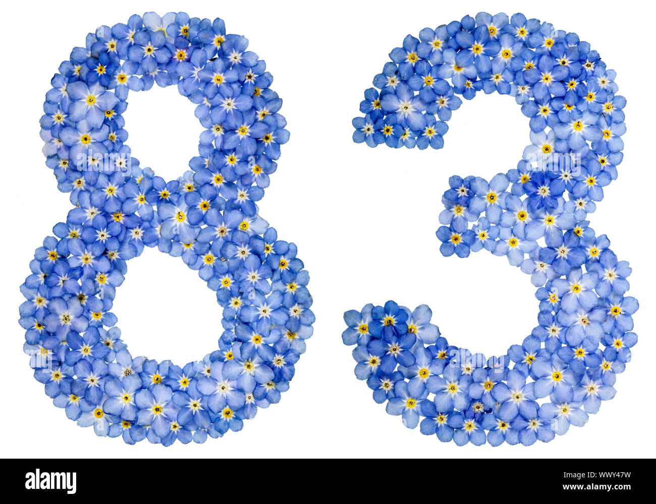 Arabic numeral 83, eighty three, from blue forget-me-not flowers Stock Photo