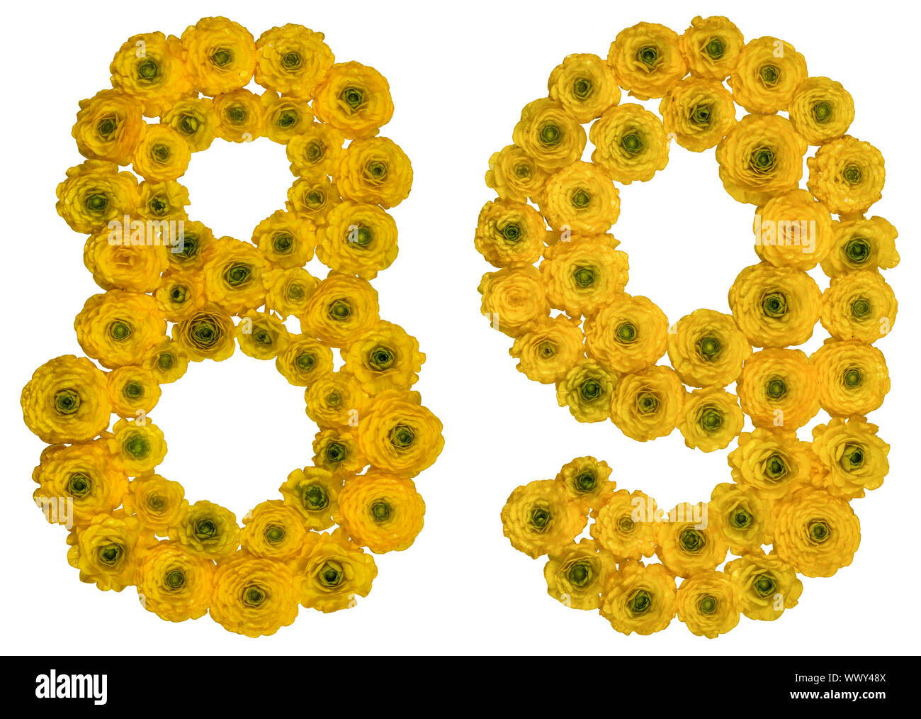 Arabic numeral 89, eighty nine, from yellow flowers of buttercup ...