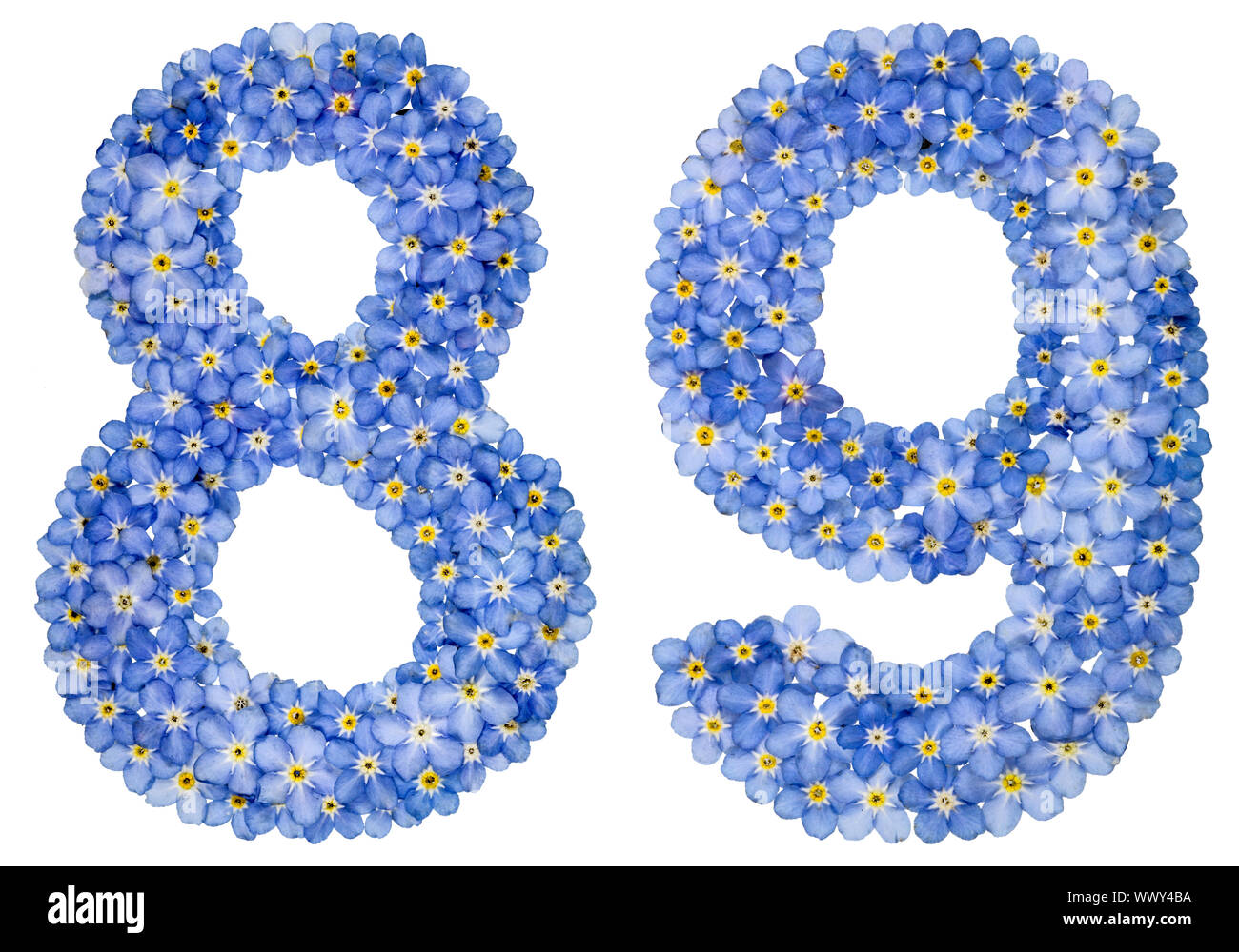Arabic numeral 89, eighty nine, from blue forget-me-not flowers Stock ...