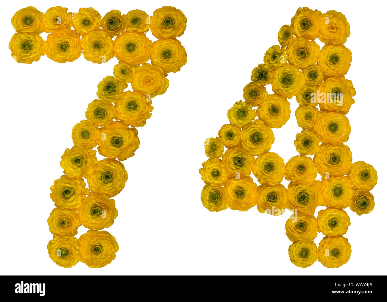 Arabic numeral 74, seventy four, from yellow flowers of buttercup ...