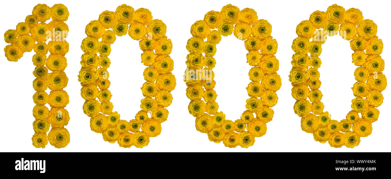 Arabic numeral 1000, one thousand, from yellow flowers of buttercup, isolated on white background Stock Photo
