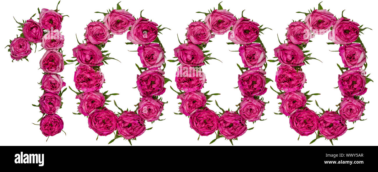 Arabic numeral 1000, one thousand, from red flowers of rose, isolated on white background Stock Photo