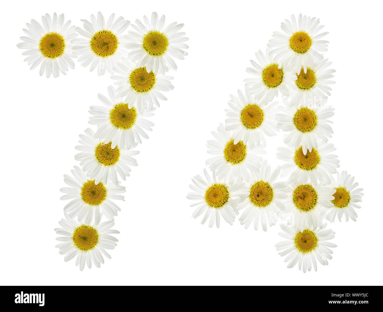 Arabic numeral 74, seventy four, from white flowers of chamomile ...