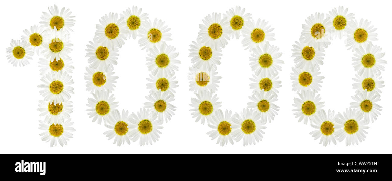 Arabic numeral 1000, one thousand, from white flowers of chamomile, isolated on white background Stock Photo