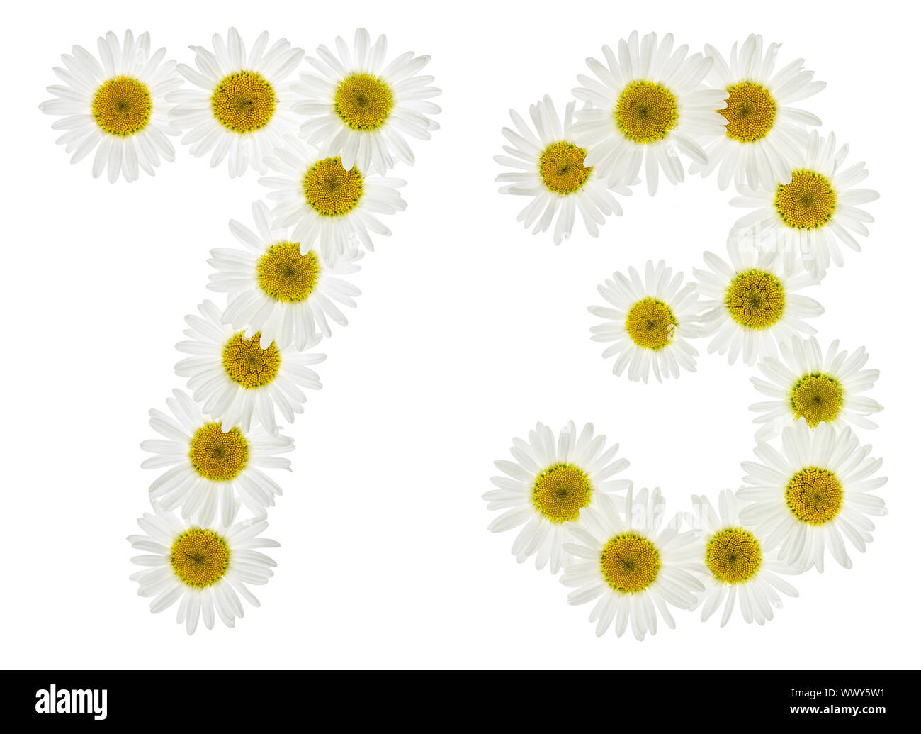 Arabic numeral 73, seventy three, from white flowers of chamomile ...