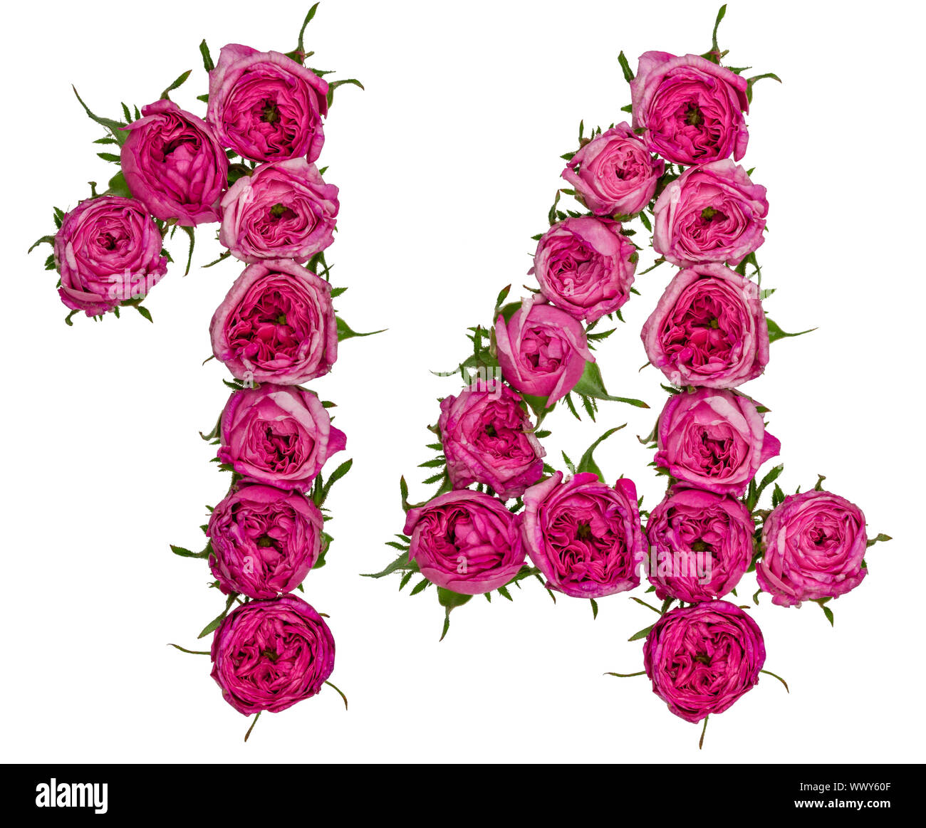 Arabic numeral 14, fourteen, from red flowers of rose, isolated on white  background Stock Photo - Alamy