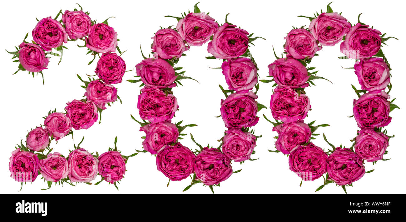 Arabic numeral 200, two hundred, from red flowers of rose, isolated on white background Stock Photo