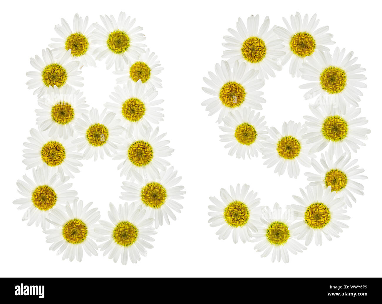 Arabic numeral 89, eighty nine, from white flowers of chamomile, isolated on white background Stock Photo