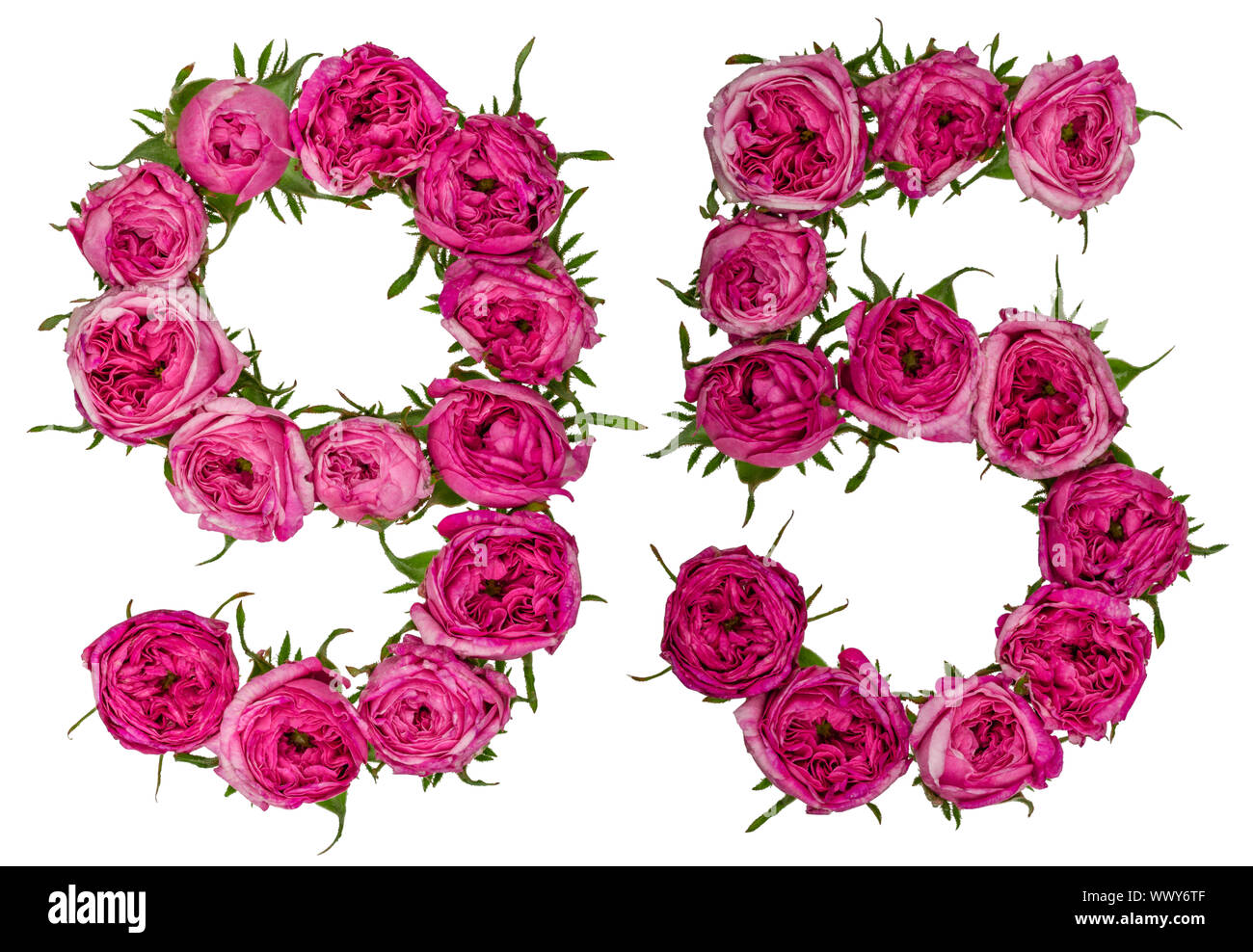 arabic-numeral-95-ninety-five-from-red-flowers-of-rose-isolated-on