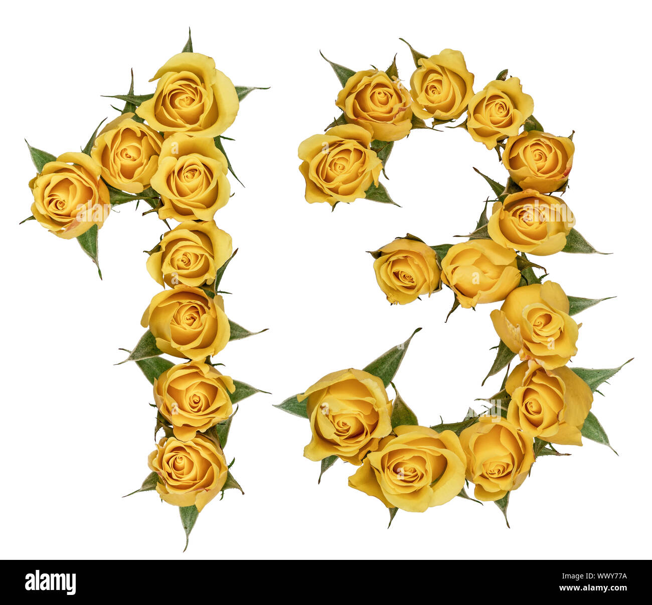 Arabic numeral 13, thirteen, from yellow flowers of rose, isolated on white background Stock Photo