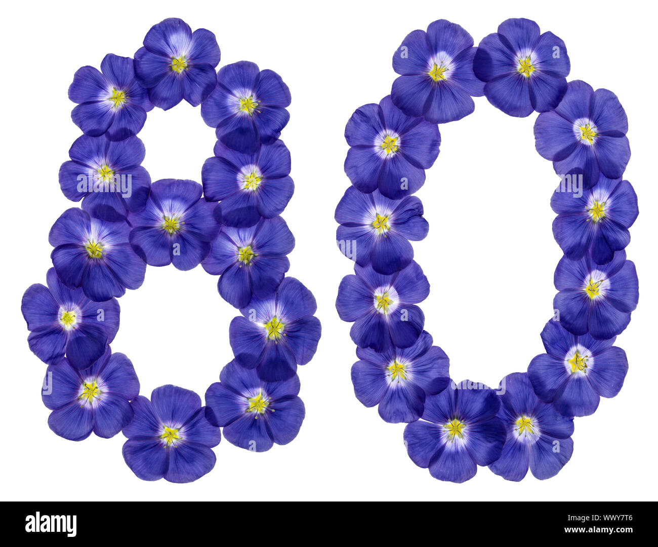 Arabic numeral 80, eighty, from blue flowers of flax, isolated on white