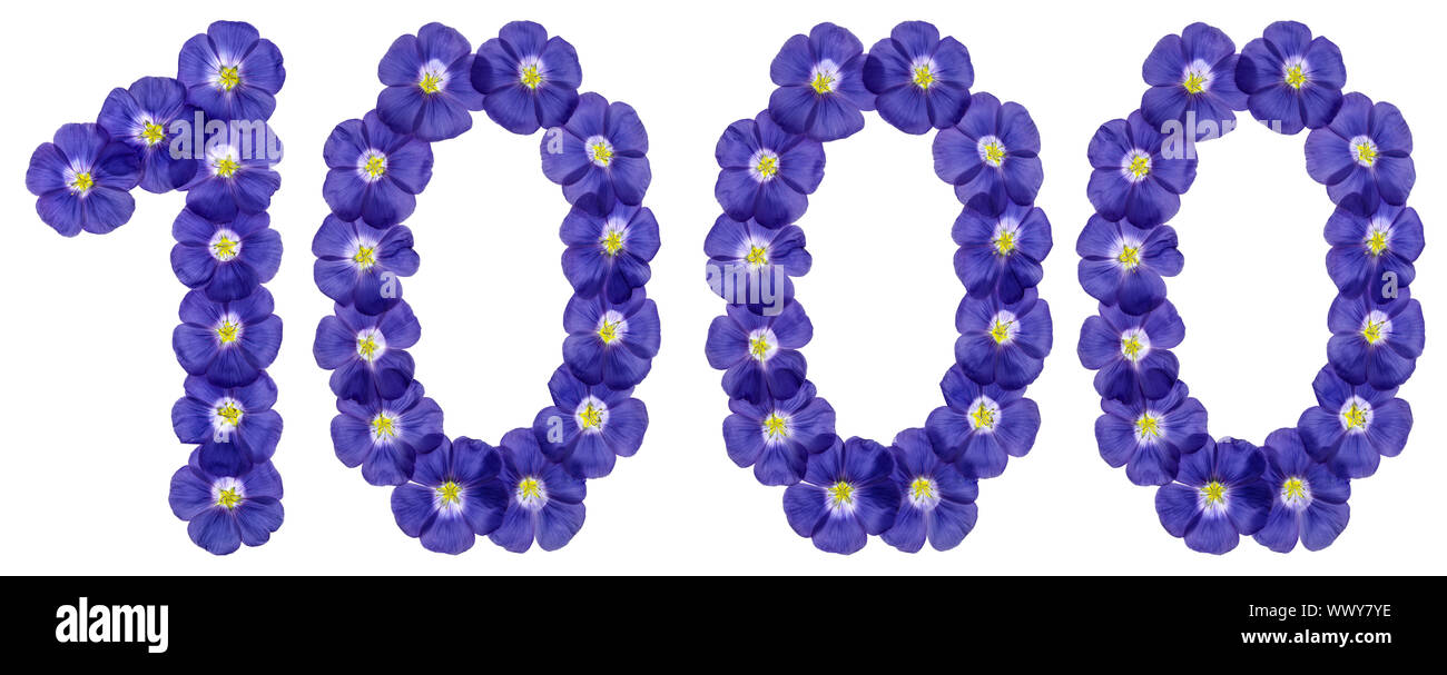 Arabic numeral 1000, one thousand, from blue flowers of flax, isolated on white background Stock Photo
