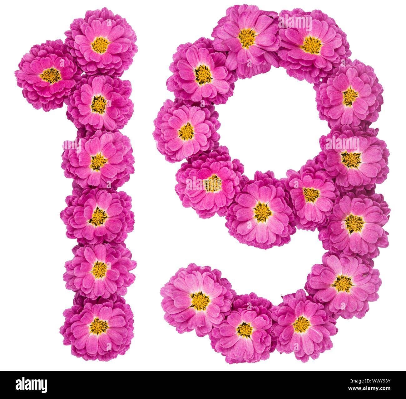 Arabic numeral 19, nineteen, from flowers of chrysanthemum, isolated on white background Stock Photo