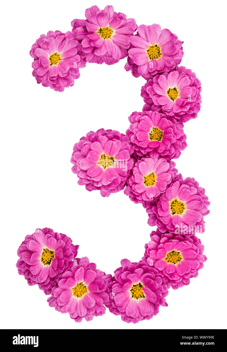 Arabic numeral 3, three, from flowers of chrysanthemum, isolated on white background Stock Photo