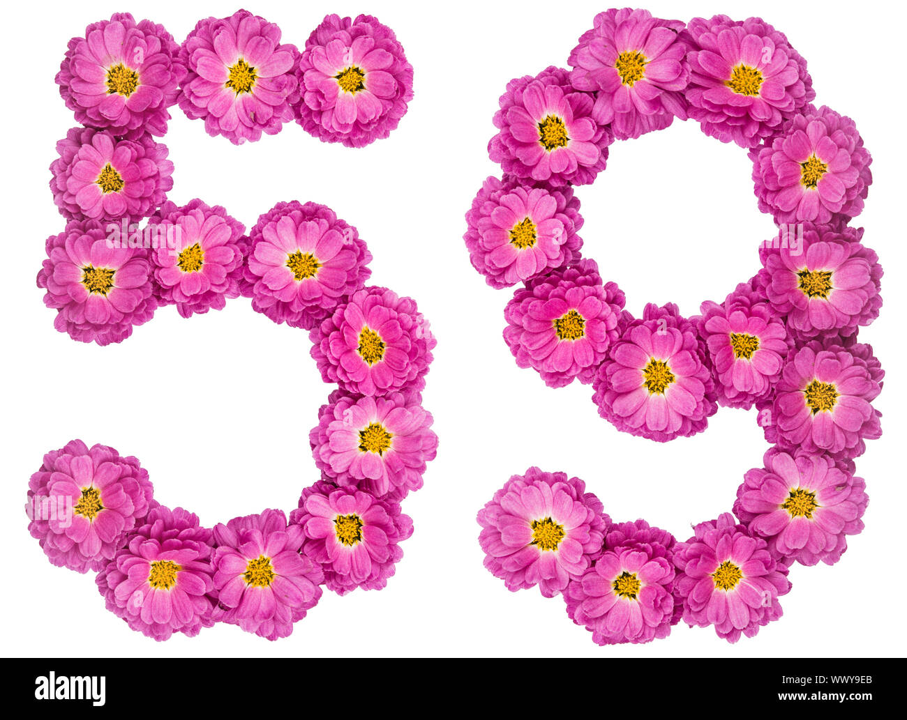 Arabic numeral 59, fifty nine,59, fifty nine, from flowers of chrysanthemum, isolated on white background Stock Photo