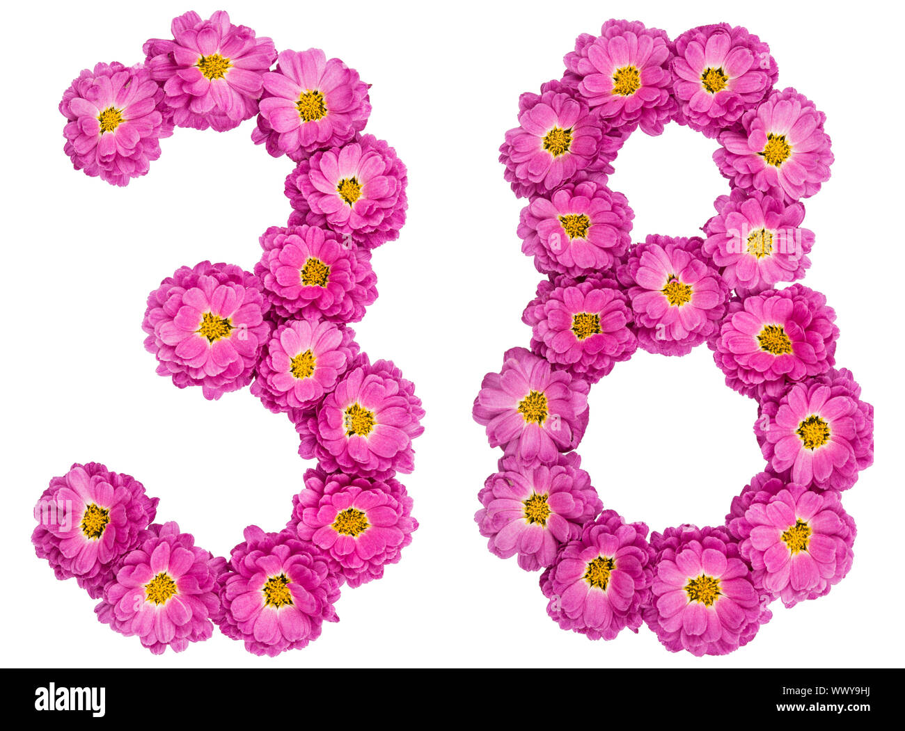 Arabic numeral 38, thirty eight, from flowers of chrysanthemum, isolated on white background Stock Photo