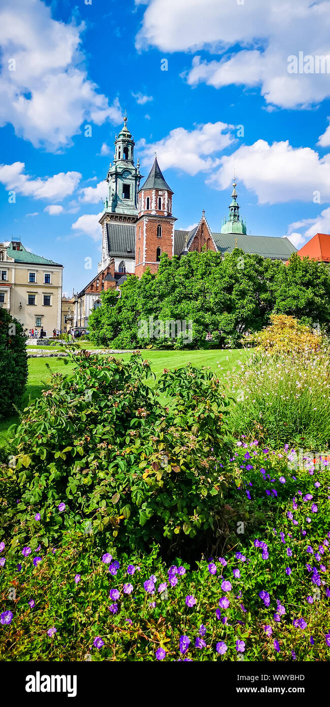 Wawel medieval Castle in Krakow, Poland. Basilica of St Stanislaw and Vaclav or Wawel Cathedral on Wawel Hill with colorful flowers in foreground Stock Photo
