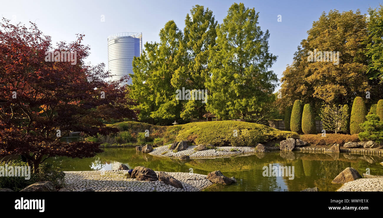 japanese garden and Post Tower, Rheinaue, Bonn, Rhineland, North Rhine-Westphalia, Germany, Europe Stock Photo