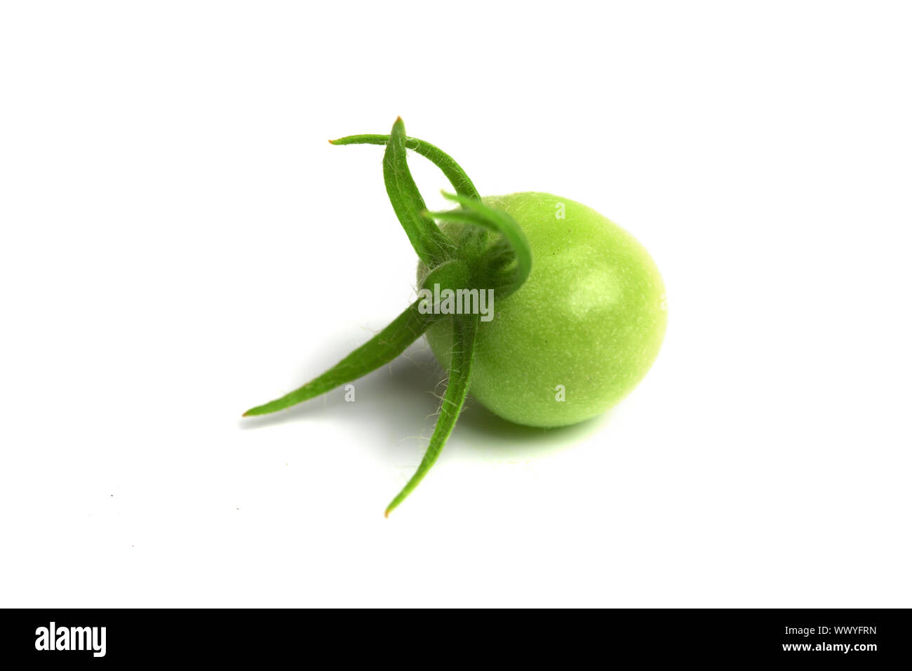 green tomato isolated on white Stock Photo - Alamy