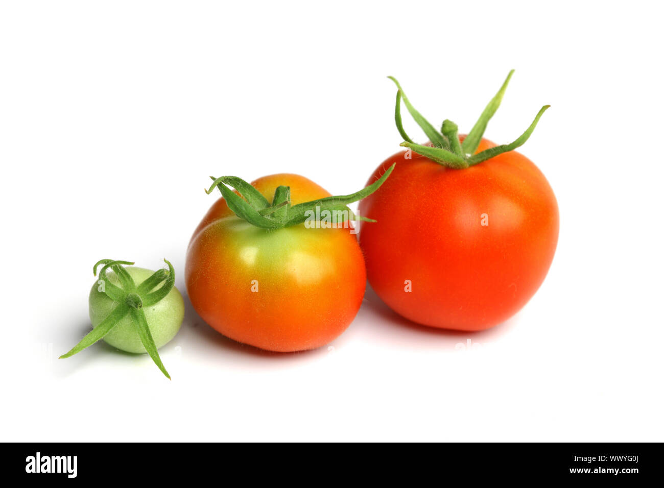 tomato pile isolated on white Stock Photo - Alamy