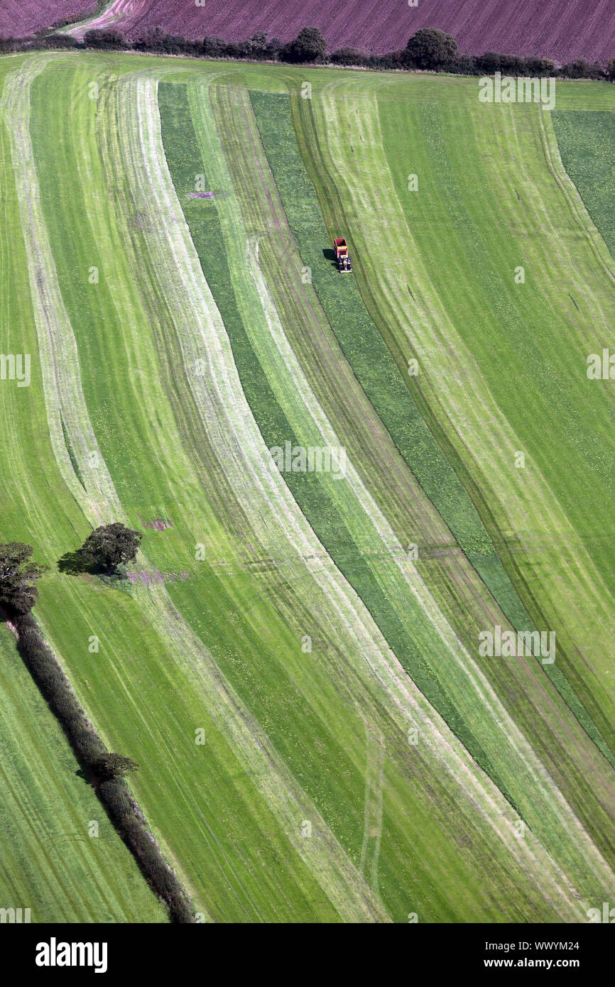 aerial view of a tractor cutting a grass field for hay and leaving stripes of cut and dried grass, Cheshire, UK Stock Photo