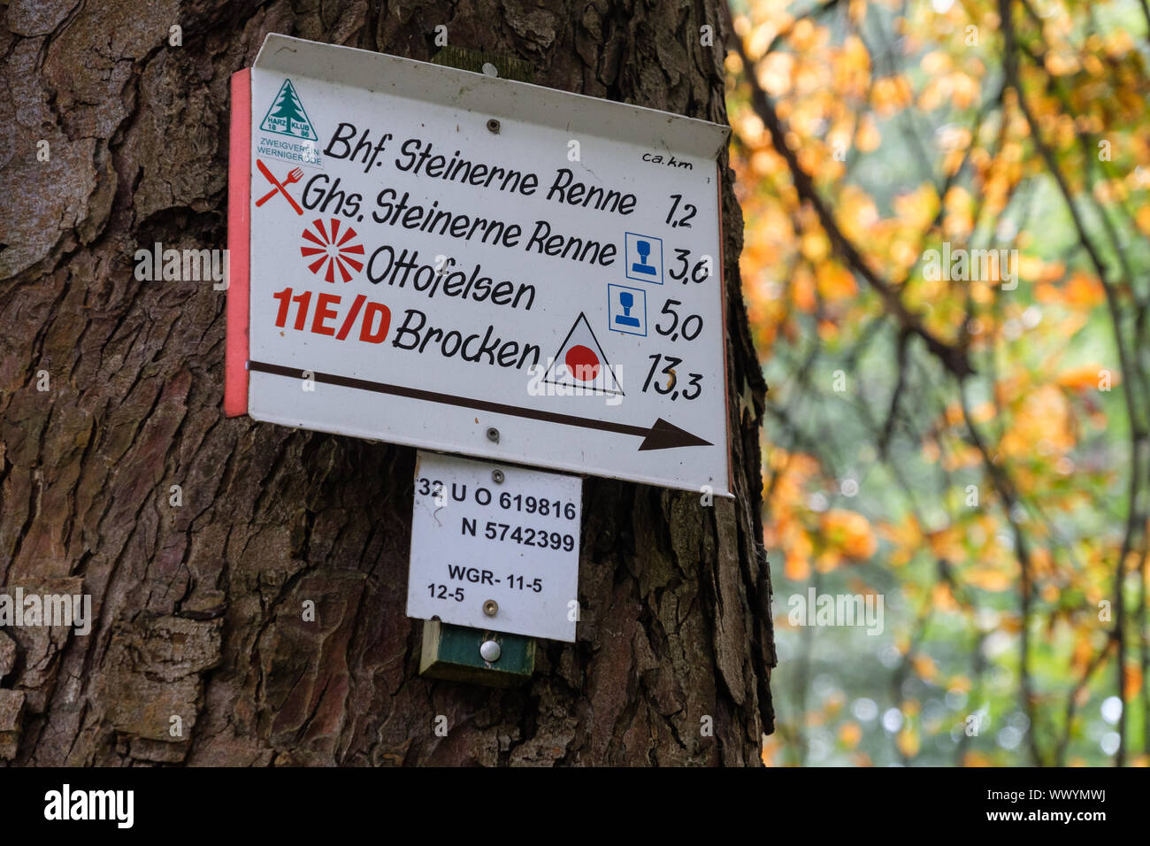 Autumn in the Harz National Park Stock Photo