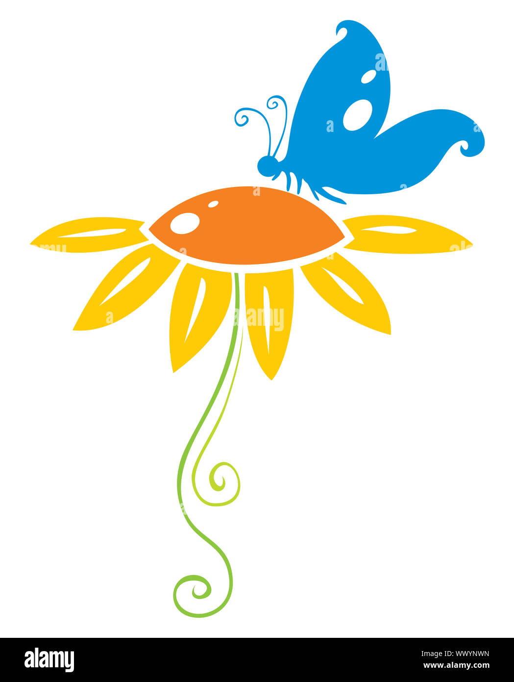 Butterfly on flower Stock Photo
