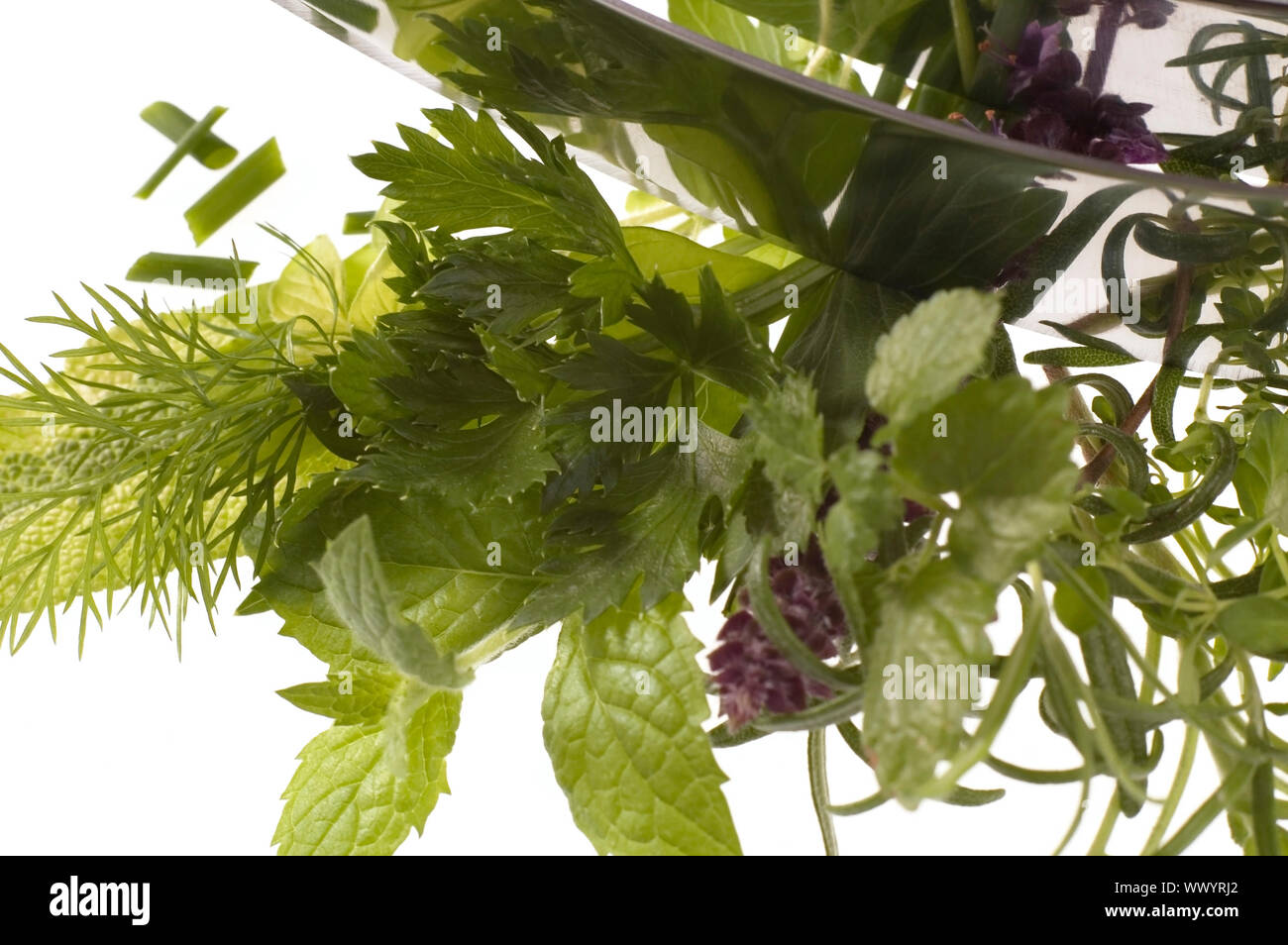 chopping fresh herbs Stock Photo Alamy
