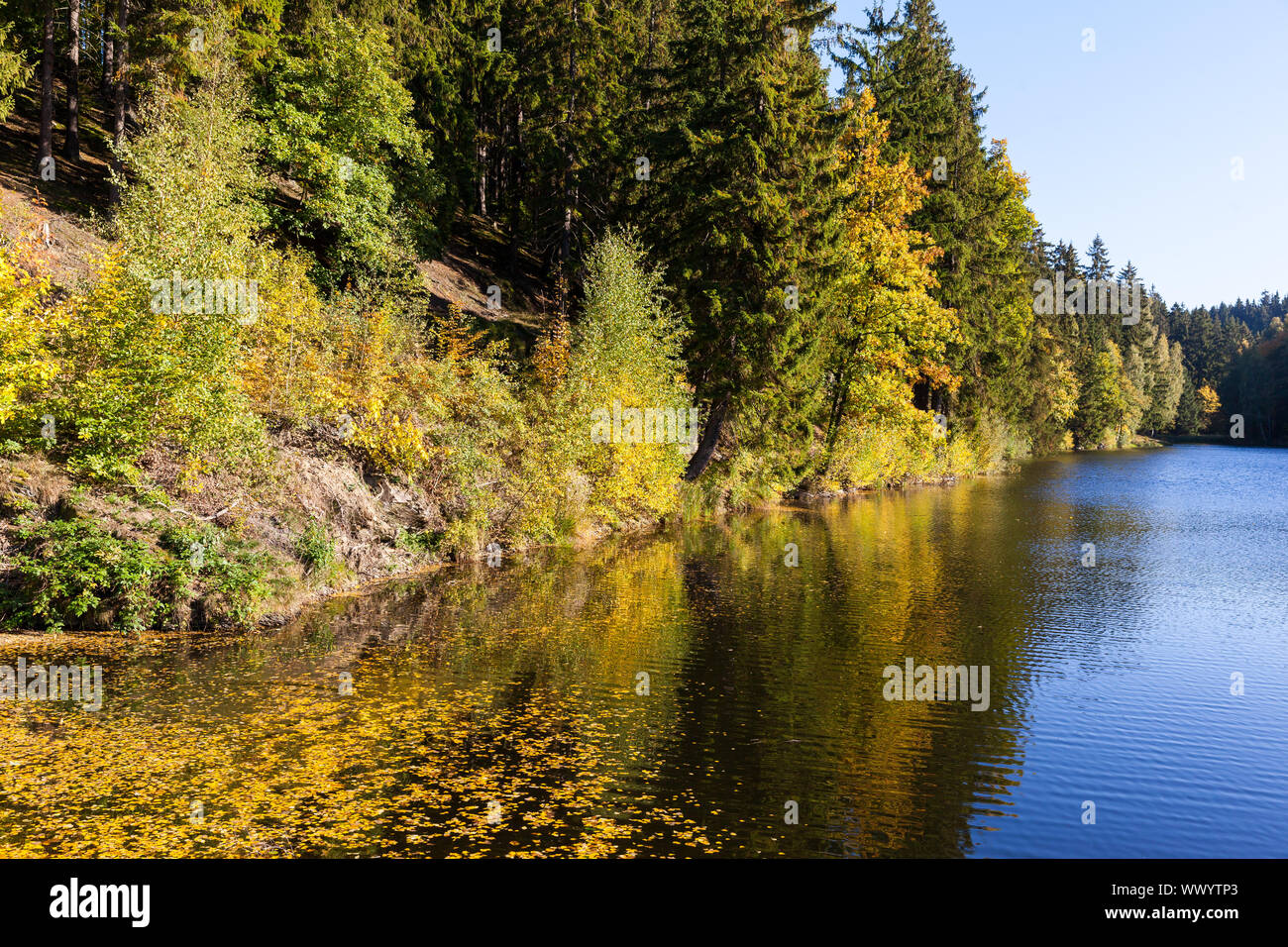 season autumn autumn atmosphere at the lake Fürstenteich Stock Photo