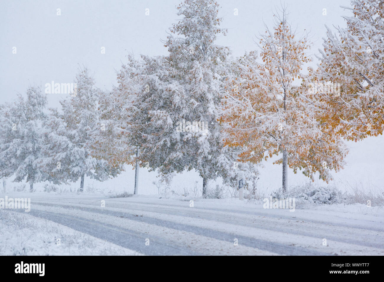 Snow-smooth roads in autumn Stock Photo